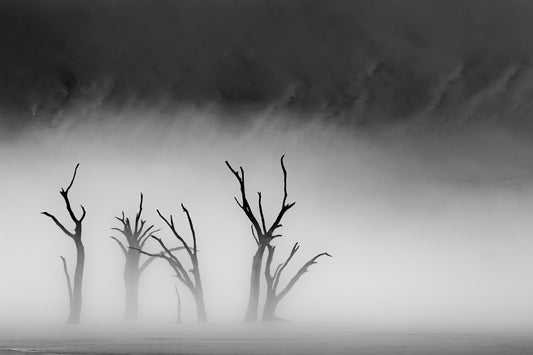 Deadvlei dans la brume 2