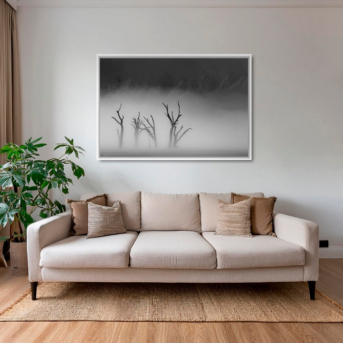 Deadvlei dans la brume 2