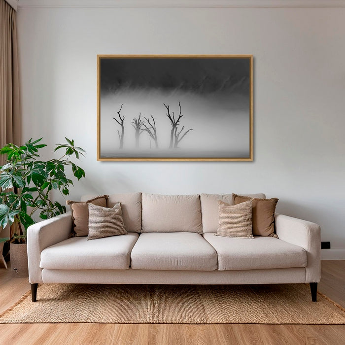 Deadvlei dans la brume 2