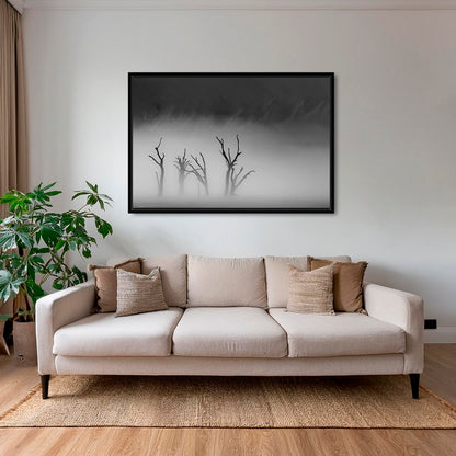 Deadvlei dans la brume 2
