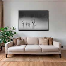 Charger l&#39;image dans la galerie, Deadvlei dans la brume 2
