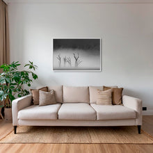 Charger l&#39;image dans la galerie, Deadvlei dans la brume 2
