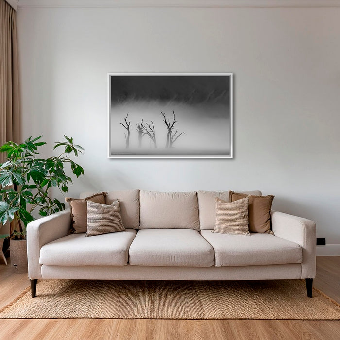 Deadvlei dans la brume 2