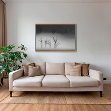 Charger l&#39;image dans la galerie, Deadvlei dans la brume 2
