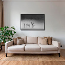 Charger l&#39;image dans la galerie, Deadvlei dans la brume 2
