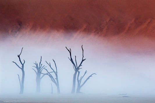 Deadvlei dans la brume