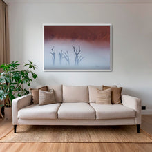 Charger l&#39;image dans la galerie, Deadvlei dans la brume
