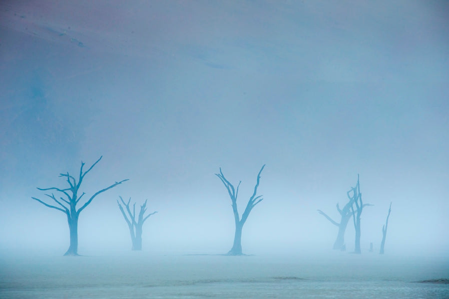 Un autre monde