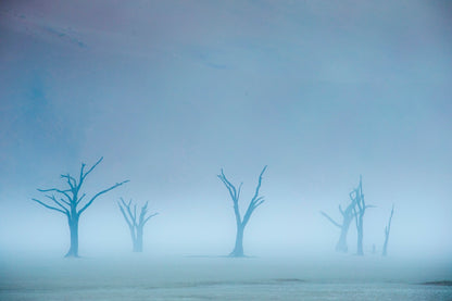 Un autre monde