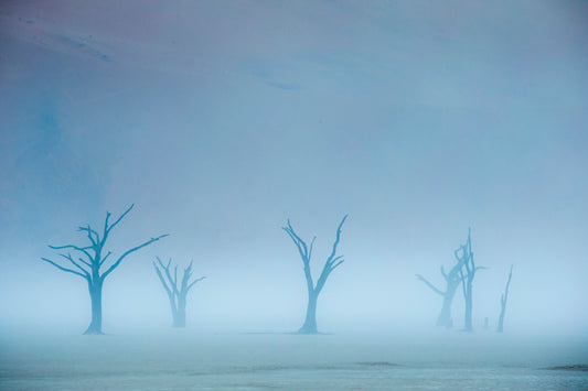 Un autre monde