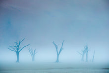 Charger l&#39;image dans la galerie, Un autre monde
