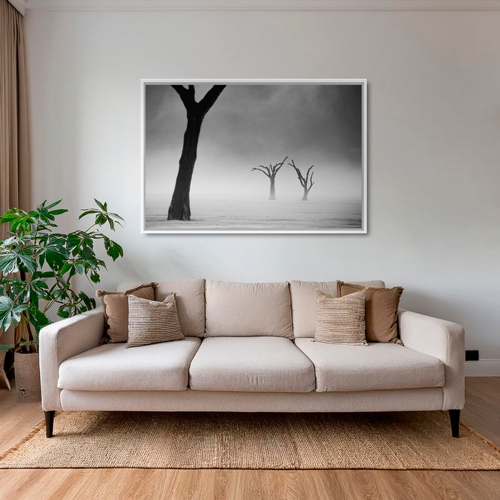 Acacias dans la brume 2