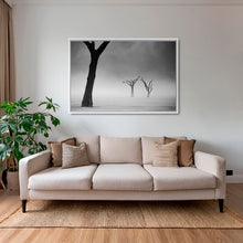 Charger l&#39;image dans la galerie, Acacias dans la brume 2
