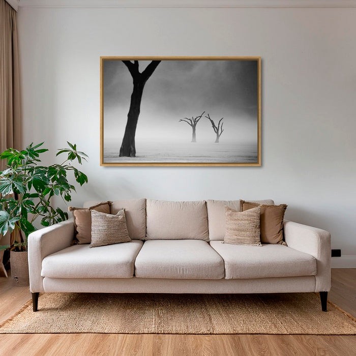 Acacias dans la brume 2