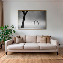 Charger l&#39;image dans la galerie, Acacias dans la brume 2
