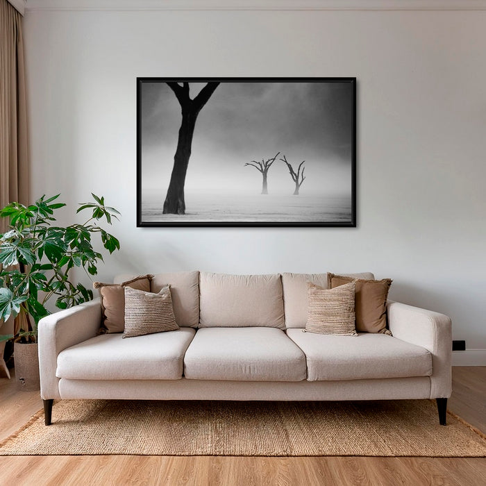 Acacias dans la brume 2