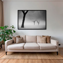 Charger l&#39;image dans la galerie, Acacias dans la brume 2
