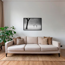 Charger l&#39;image dans la galerie, Acacias dans la brume 2
