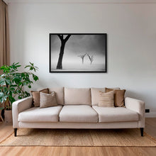 Charger l&#39;image dans la galerie, Acacias dans la brume 2
