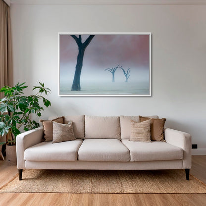 Acacias dans la brume