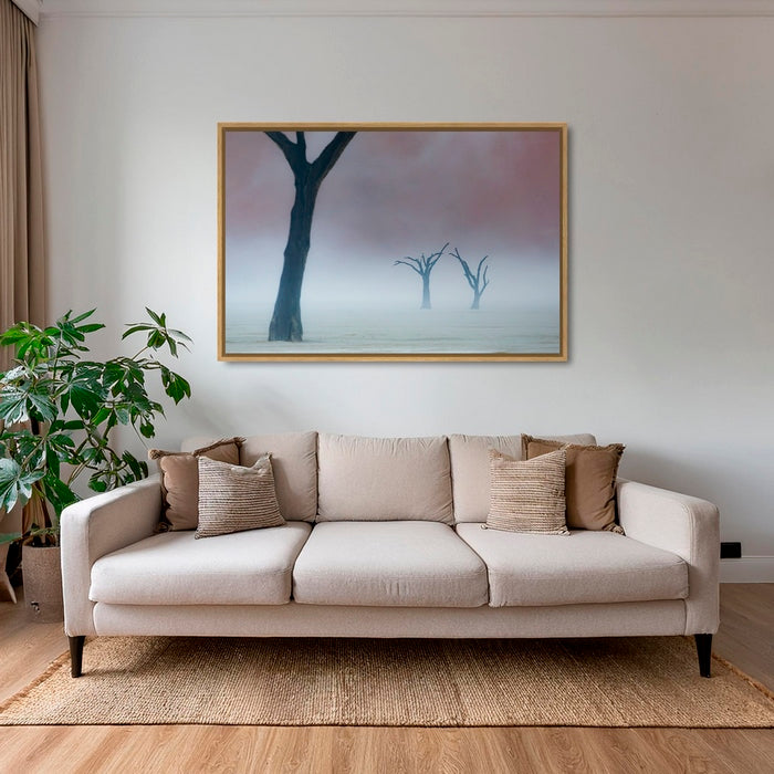 Acacias dans la brume