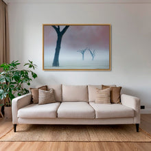 Charger l&#39;image dans la galerie, Acacias dans la brume
