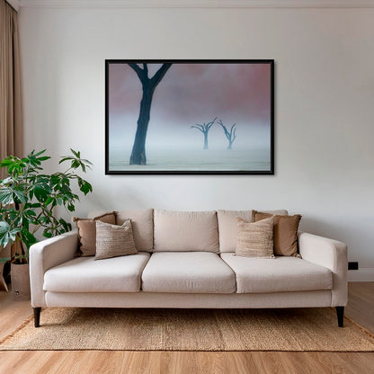 Acacias dans la brume