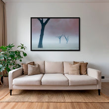 Charger l&#39;image dans la galerie, Acacias dans la brume
