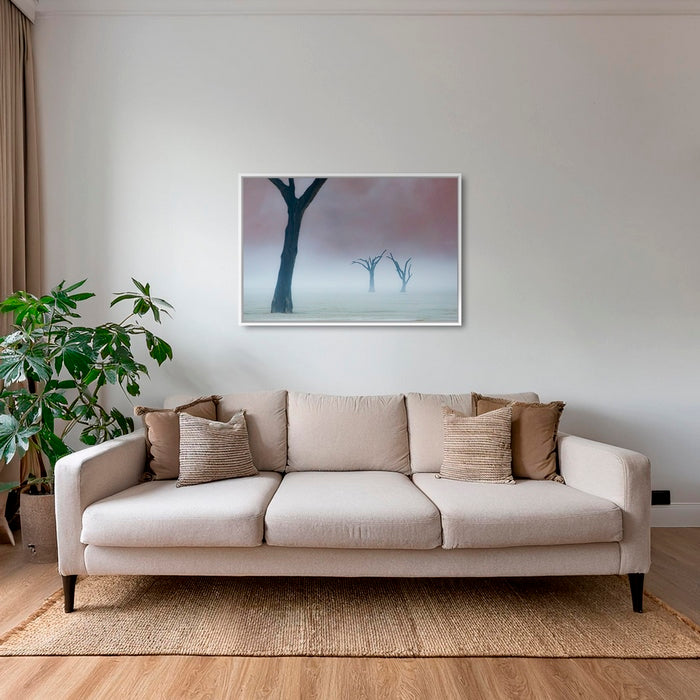 Acacias dans la brume