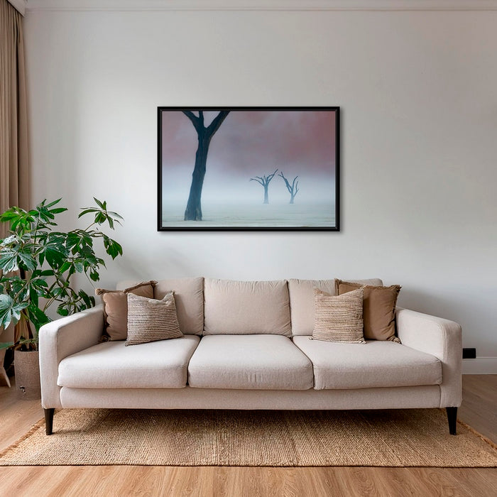 Acacias dans la brume