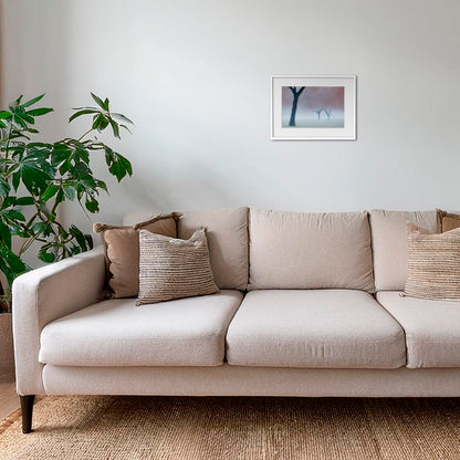 Acacias dans la brume