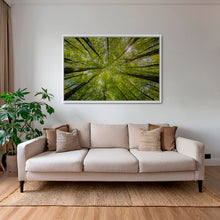 Charger l&#39;image dans la galerie, Convergence végétale
