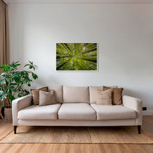 Charger l&#39;image dans la galerie, Convergence végétale
