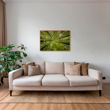 Charger l&#39;image dans la galerie, Convergence végétale
