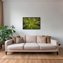 Charger l&#39;image dans la galerie, Convergence végétale
