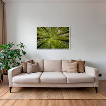 Charger l&#39;image dans la galerie, Convergence végétale
