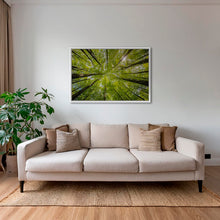 Charger l&#39;image dans la galerie, Convergence végétale
