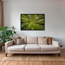 Charger l&#39;image dans la galerie, Convergence végétale
