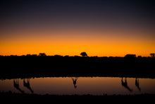 Charger l&#39;image dans la galerie, Ombre de géants
