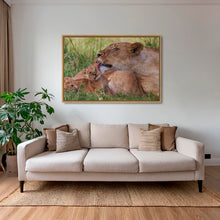 Charger l&#39;image dans la galerie, Toilette royale
