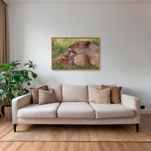 Charger l&#39;image dans la galerie, Toilette royale
