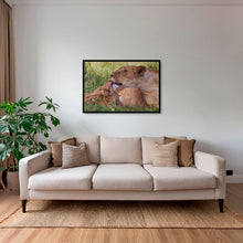 Charger l&#39;image dans la galerie, Toilette royale
