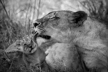 Charger l&#39;image dans la galerie, Toilette royale 2
