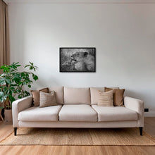 Charger l&#39;image dans la galerie, Toilette royale 2
