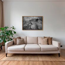 Charger l&#39;image dans la galerie, Toilette royale 2
