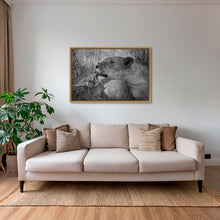 Charger l&#39;image dans la galerie, Toilette royale 2
