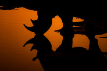 Charger l&#39;image dans la galerie, Silhouette à cornes
