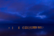 Charger l&#39;image dans la galerie, Peinture nocturne
