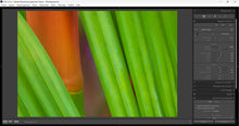 Charger l&#39;image dans la galerie, Atelier Lightroom individuel
