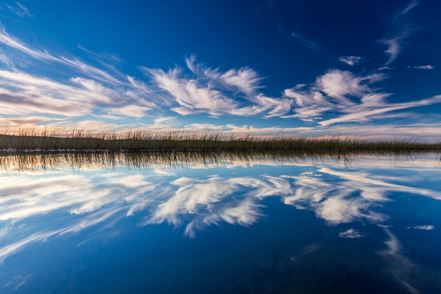 Reflet d'Aubrac